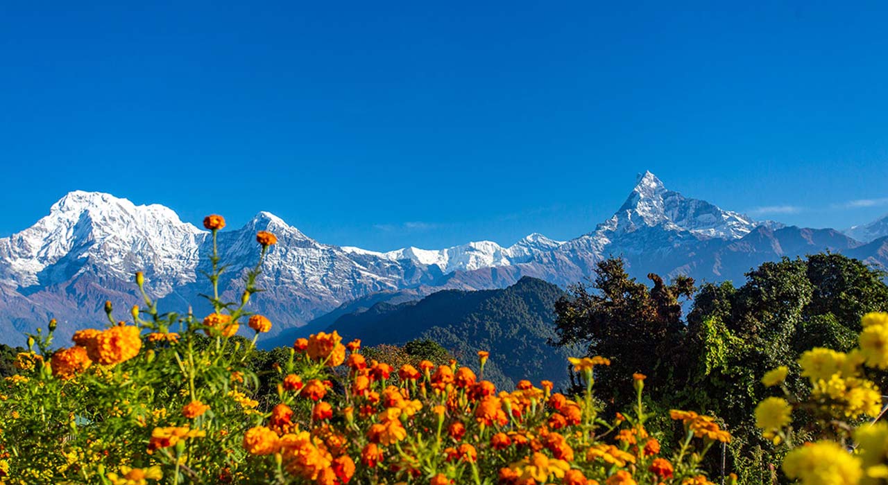 Mardi Himal Trek