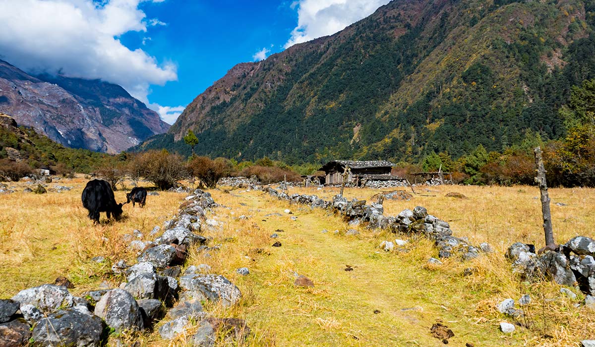 Health and Safety during kanchenjunga trek