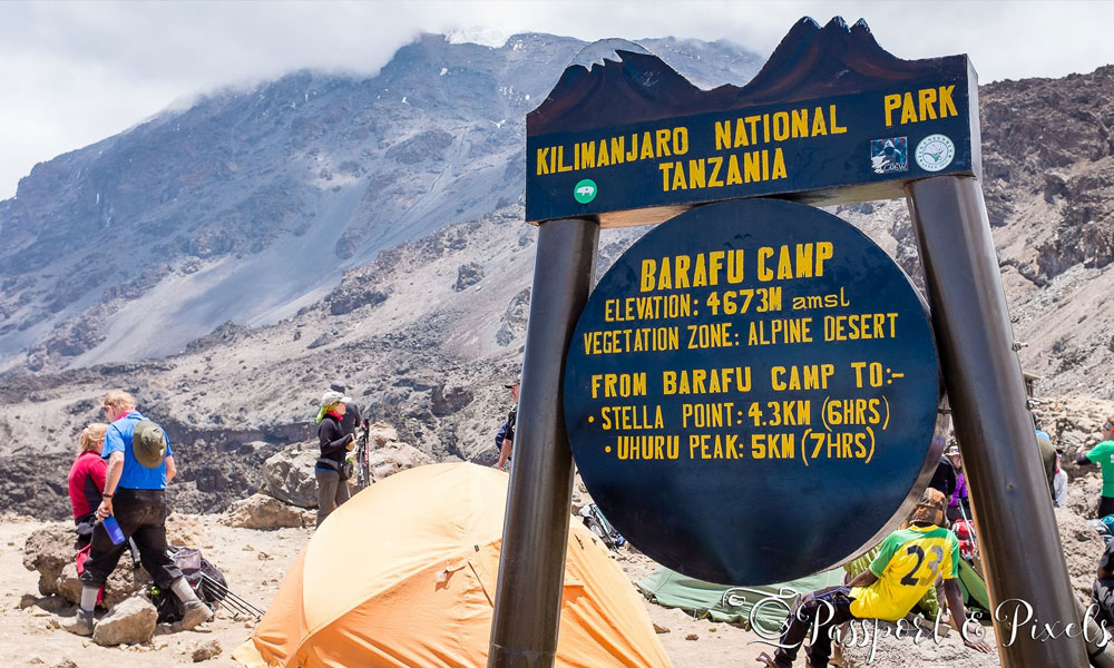 Kilimanjaro Base camp